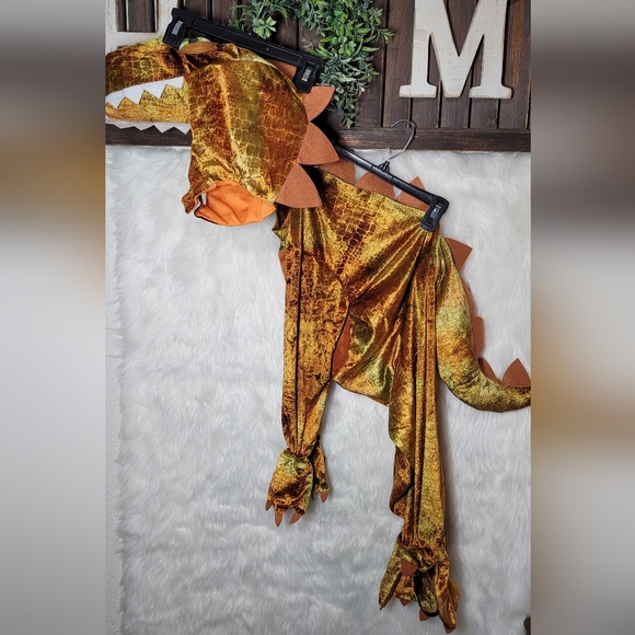 T-Rex Costume - Picture 8 of 12